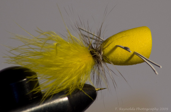 Yellow Bass Popper