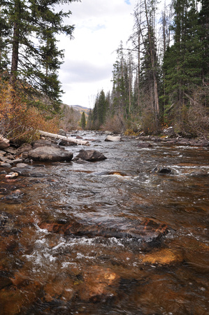 Elk River in Routt National Forest
